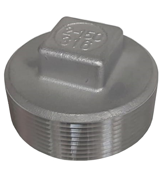 SS PLUG 3/4"
