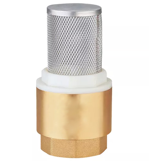 FOOT VALVE 1" BRASS WITH SS NET
