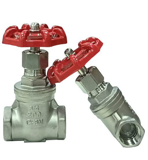 STAINLESS STEEL GATE VALVE 11/2" HMX
